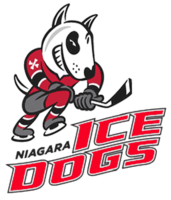 Niagara IceDogs 2007-pres primary logo iron on transfers for clothing